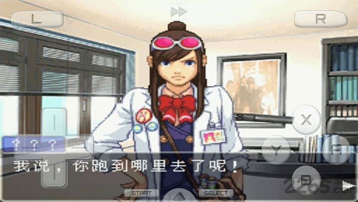 nds复苏的逆转完美汉化版下载