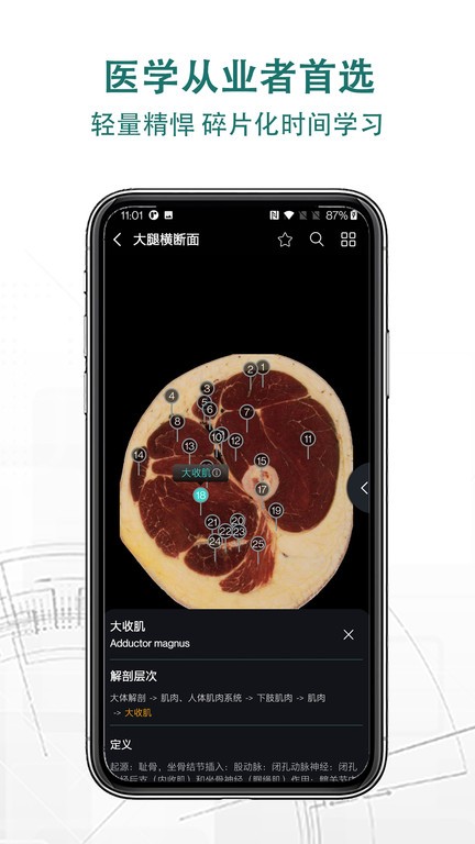 掌上3d解剖app v2.1.1 安卓版 3