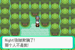 口袋妖怪漆黑的魅影4.5一周目全图文流程攻略完美版
