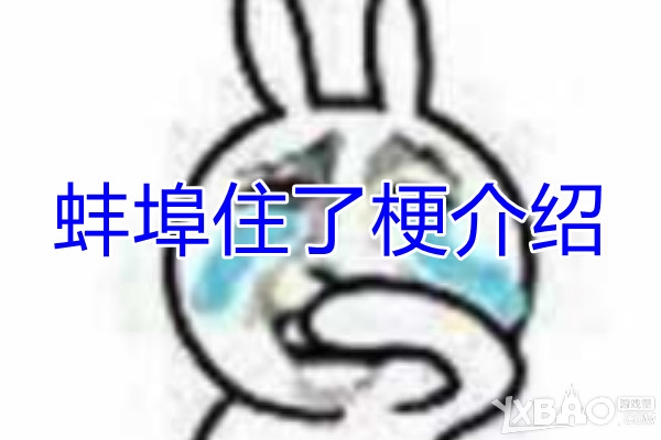 蚌埠住了梗介绍