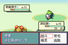 《口袋妖怪：蛇纹木》一周目图文攻略