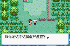 《口袋妖怪：蛇纹木》一周目图文攻略