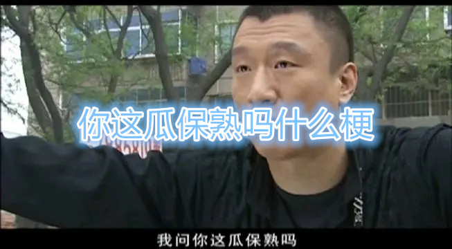 你这瓜保熟吗什么梗