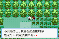 《口袋妖怪：蛇纹木》一周目图文攻略