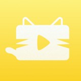 猫咪视频安卓版下载(猫咪视频app下载)