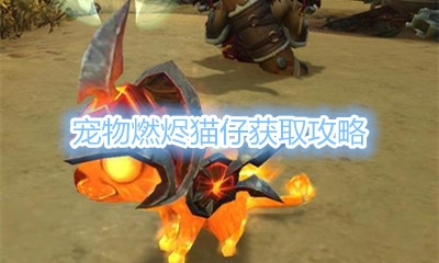 《魔兽世界》宠物燃烬猫仔获取攻略