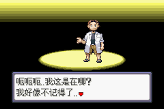 《口袋妖怪：蛇纹木》一周目图文攻略