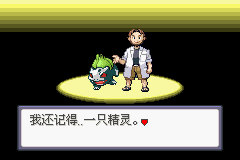 《口袋妖怪：蛇纹木》一周目图文攻略