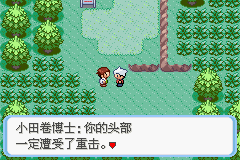 《口袋妖怪：蛇纹木》一周目图文攻略