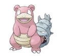 《pokemon go》精灵图鉴大全