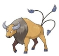 《pokemon go》精灵图鉴大全