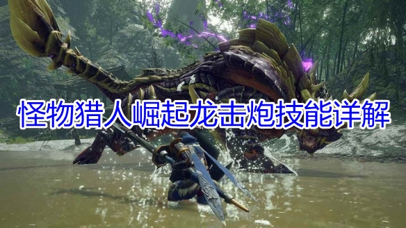 《怪物猎人崛起》龙击炮玩法详解