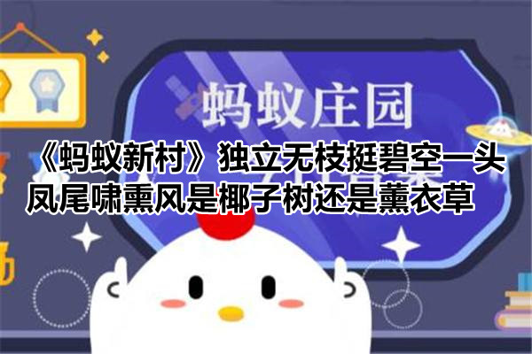 《蚂蚁新村》独立无枝挺碧空，一头凤尾啸熏风指的是椰子树还是薰衣草