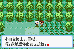 《口袋妖怪：蛇纹木》一周目图文攻略