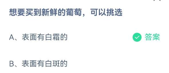 《蚂蚁庄园》想要买到新鲜的葡萄可以挑选(5月16日)
