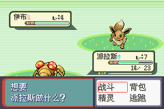 《口袋妖怪：蛇纹木》一周目图文攻略