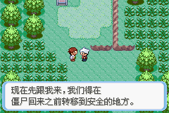 《口袋妖怪：蛇纹木》一周目图文攻略
