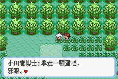 《口袋妖怪：蛇纹木》一周目图文攻略