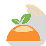 开平橙子网安卓版下载(开平橙子网app下载)