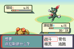 《口袋妖怪：蛇纹木》一周目图文攻略