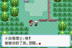 《口袋妖怪：蛇纹木》一周目图文攻略