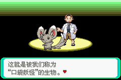口袋妖怪漆黑的魅影4.5一周目全图文流程攻略完美版