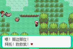 口袋妖怪漆黑的魅影4.5一周目全图文流程攻略完美版