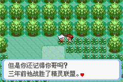 《口袋妖怪：蛇纹木》一周目图文攻略