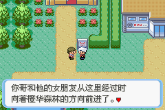 《口袋妖怪：蛇纹木》一周目图文攻略