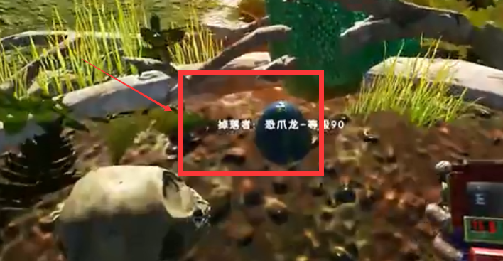 白崖地区