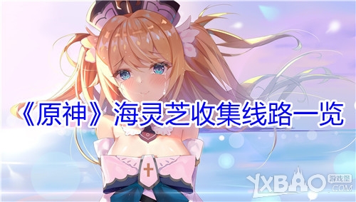 《原神》海灵芝收集线路大全