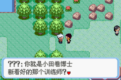 《口袋妖怪：蛇纹木》一周目图文攻略