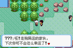 《口袋妖怪：蛇纹木》一周目图文攻略