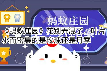 《蚂蚁庄园》花别弄混了，叶片小而密集的是玫瑰还是月季