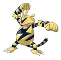 《pokemon go》精灵图鉴大全