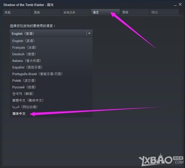 《古墓丽影：暗影》中文设置详细方法