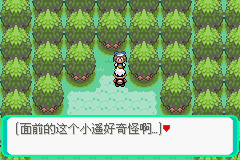 口袋妖怪漆黑的魅影4.5一周目全图文流程攻略完美版