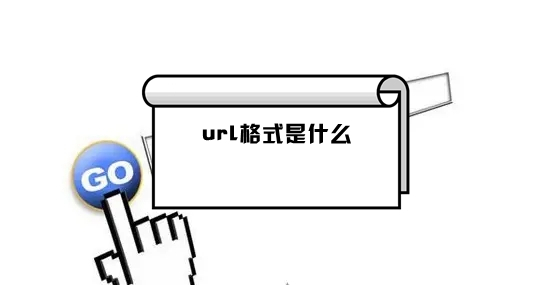 url格式是什么(url怎么打开)