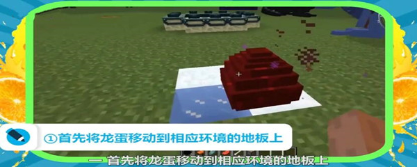 news/202207/cc493300bd366e0dd3bab88feabf40bd.jpg