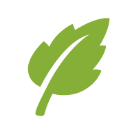 SGreen App安卓版下载(SGreen浏览器下载)