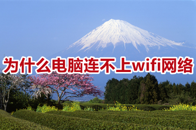 为什么电脑连不上wifi网络(电脑连不上wifi网络的原因及解决办法)