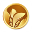 二丫网APP 安卓版V5.7.3下载(二丫网下载安装)