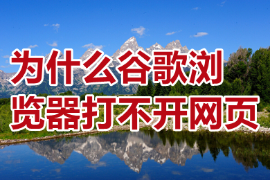 为什么谷歌浏览器打不开网页(为什么谷歌浏览器搜索不了东西)