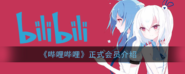 b站正式会员有什么用(哔哩哔哩正式会员是永久吗)