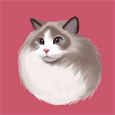 壁纸库APP v1.0.1安卓版下载(壁纸库2022最新版下载安装)