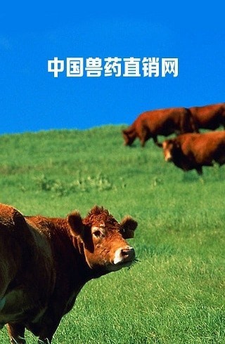 中国兽药直销网 安卓版下载(兽药直销网APP下载)