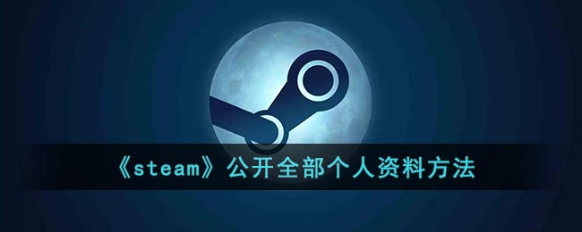 steam怎么公开个人资料(steam资料怎么全部公开)