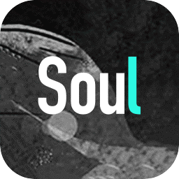 soul官方版图