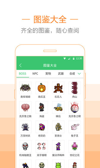 泰拉瑞亚助手APP免ROOT版下载