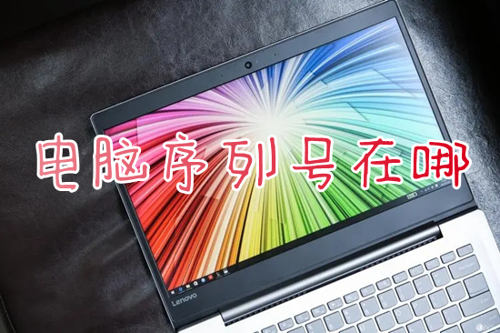 电脑序列号在哪(笔记本和台式电脑序列号怎么查询)